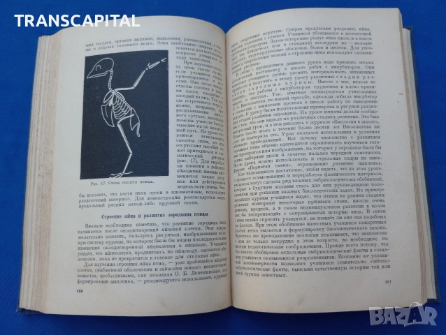 Зоология, методи на преподаване, на руски език, снимка 8 - Други - 55265155