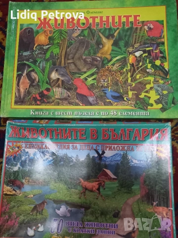 книга - пъзел и игра