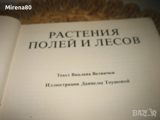 Растения полей и лесов - 1987 г., снимка 3 - Енциклопедии, справочници - 54723028