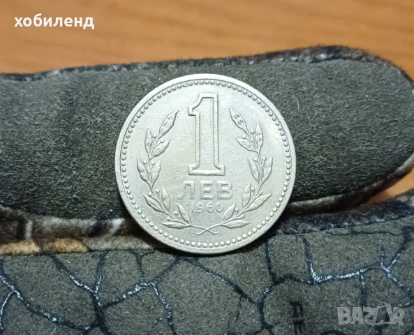 1 лев 1960