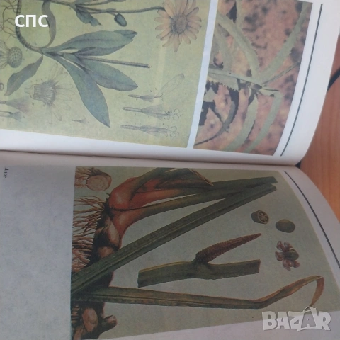 Книги за билките , снимка 5 - Други - 54373552