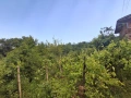 Продавам къщя във местноста Вичов ахан, снимка 16
