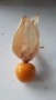 Физалис, снимка 3