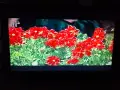 LG V8806DVX DVD/VHS-Videorecorder, снимка 2