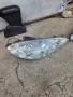 фарове с лупи за Peugeot 206, снимка 4