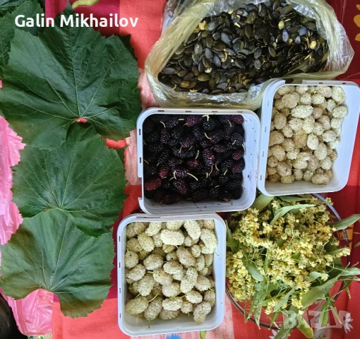 Пресен Бадем, лозови листа, черници, снимка 9 - Домашни продукти - 55157471