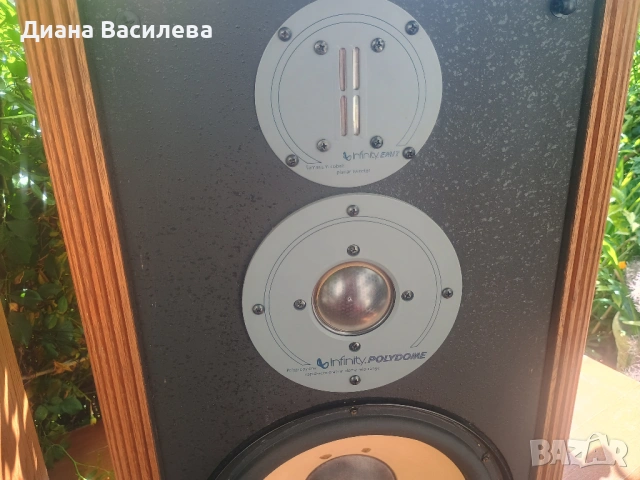 Infinity RS-5B (Reference Standard 5B), снимка 4 - Тонколони - 54899045