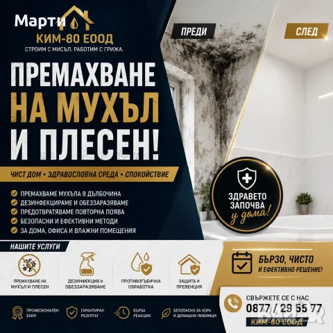 СТОП НА МУХЪЛА И ПЛЕСЕНТА! / РЕШЕНИЕ СРЕЩУ МУХЪЛ И ПЛЕСЕН