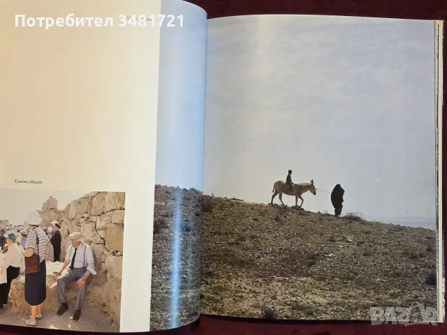 Israel. A First View, снимка 5 - История, политика и общество - 55362846