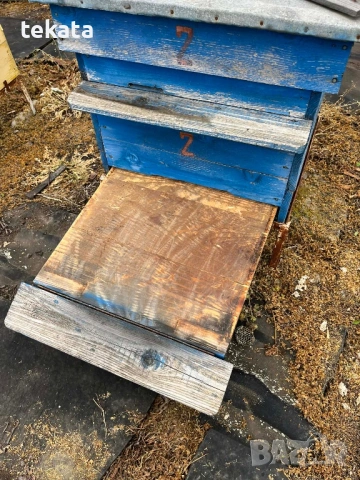 Кошери със магазини, снимка 7 - За пчели - 54166509