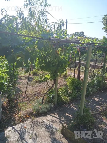 ПРОДАВА ТУХЛЕНА КЪЩА в село Велино, снимка 9 - Къщи - 55335710