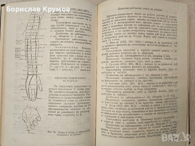 Рефлексотерапия, Иглотерапия, Акупунктура - на руски, снимка 14 - Специализирана литература - 54897372