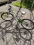 Колело Sprint Paralax 24 , снимка 3