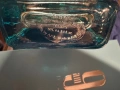 Унисекс парфюмна вода Afnan 9AM Dive 100ml, снимка 3