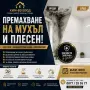 СТОП НА МУХЪЛА И ПЛЕСЕНТА! / РЕШЕНИЕ СРЕЩУ МУХЪЛ И ПЛЕСЕН, снимка 1