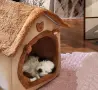 къщичка + подарък, снимка 5