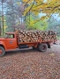 ZIL130 бордови,бензинов с газова уредба!, снимка 8