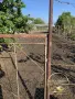 Парцел УПИ село Крушево,община Първомай, снимка 4