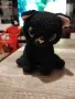 Pets alive котета изненада с звук, снимка 5
