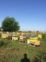 Пчеларско оборудване, снимка 1