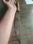 Буиновски нож Троянъ, снимка 1