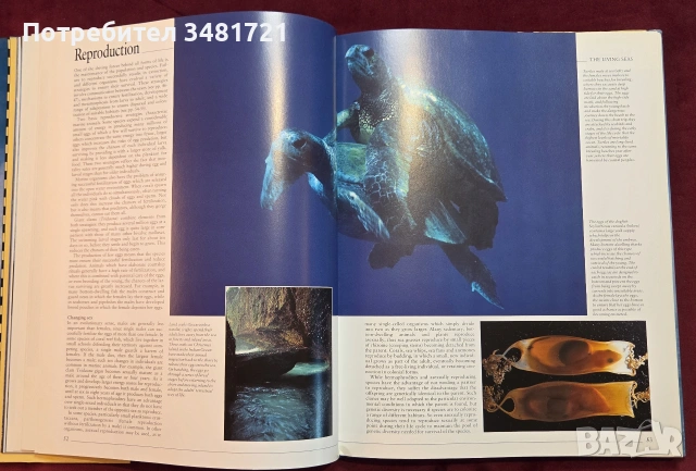 Атлас на океаните / The Random House Atlas of the Oceans, снимка 9 - Пътеводители, карти и атласи - 54960074
