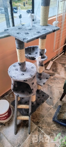 Многоетажна катерушка за котки 