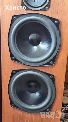 Тонколони Magnat Sonobull 35, снимка 10 - Тонколони - 55378498