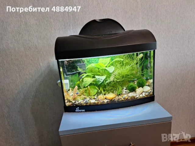 Продавам аквариум 25л-във Варна 