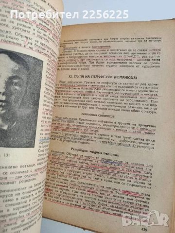 Кратък курс по венерически и кожни болести, снимка 2 - Специализирана литература - 54439217