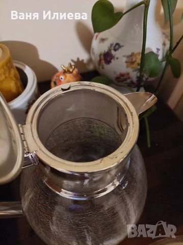 Кана, снимка 10 - Кани - 53971429