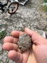 Галенит , снимка 4