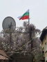Продавам растения Глиция, снимка 2