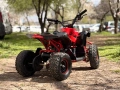 Електрическо ATV за Деца TELSTAR RENEGADE – Отлично Състояние, снимка 6