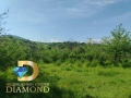 Парцел в село Брягово, обл. Пловдив, снимка 2