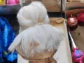 Стари стъклени коледни играчки, снимка 9