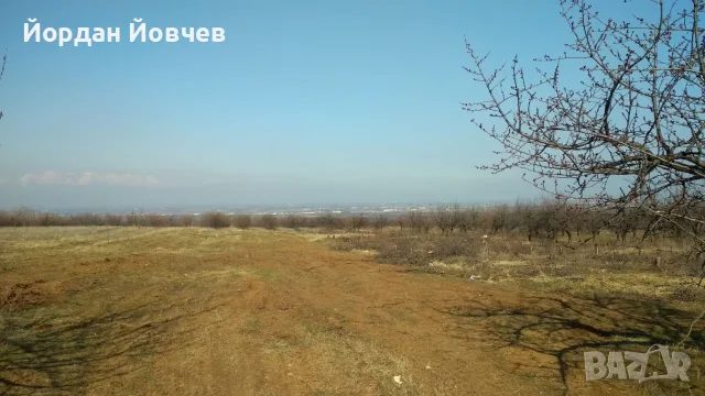 Продава парцели с.Брестник, снимка 2 - Парцели - 55350928