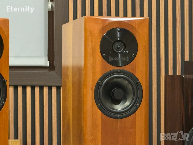 Audio Physic Virgo 3 mk1 / Тонколони, снимка 4 - Тонколони - 54544043