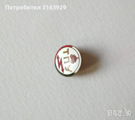 Стари значки, снимка 5 - Колекции - 54810024