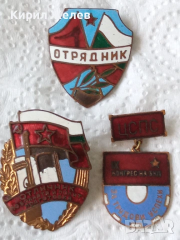 Колекция от различни значки 44672, снимка 2 - Нумизматика и бонистика - 54567340