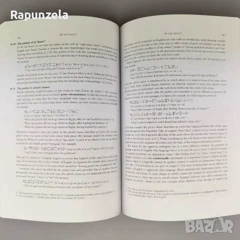 Middle Egyptian: An Introduction to the Language and Culture of Hieroglyphs (2nd Edition), снимка 4 - Чуждоезиково обучение, речници - 55567393