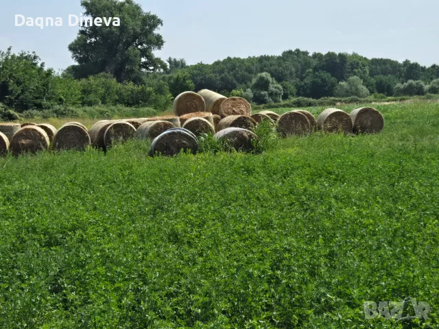 Продавам ролонни бали, снимка 5 - За селскостопански - 55466857
