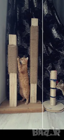 Драскалка за котки Най- здравата , снимка 6 - За котки - 55628735