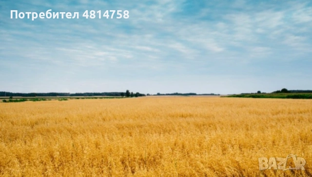 Продавам земеделска земя