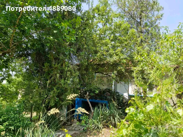 Къща в центъра на Мизия. 4 стаи. Мазе 30кв.м. Конвектори, печки, пералня,хладилник, млада овошка СОТ, снимка 6 - Къщи - 55326524