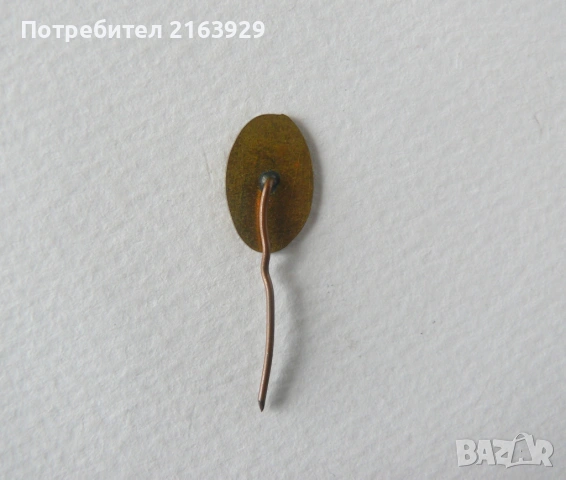 Лот от две футболни значки - Галатасарай и Турска футболна федерация, снимка 9 - Колекции - 54265686