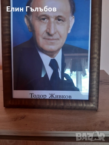 Портрет на Тодор Живков, 25/35 см. в дървена рамка, снимка 3 - Антикварни и старинни предмети - 54157865