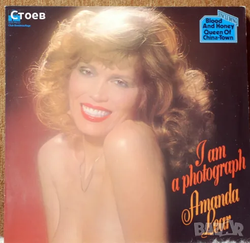  LP Rock,Rege,Disko,Jazz, снимка 5 - Грамофонни плочи - 36423587