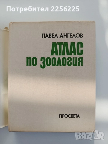 Атлас по зоология ( безгръбначни животни), снимка 8 - Специализирана литература - 55178721