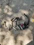 Теглич за Хонда срв 2 има инсталация букси болтове , снимка 1